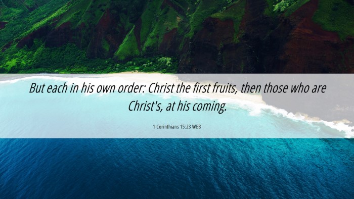 Picture 06 - 1 Corinthians 15:23 WEB Desktop Wallpaper - But each in his own order: Christ the first - Desktop Bible Verse Wallpaper