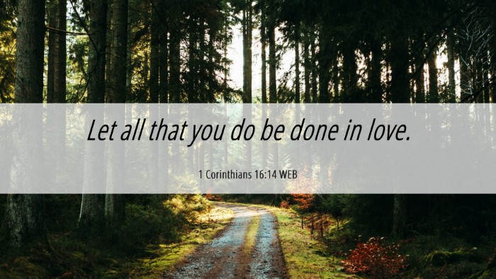 Picture 06 - 1 Corinthians 16:14 WEB Desktop Wallpaper - Let all that you do be done in - Desktop Bible Verse Wallpaper