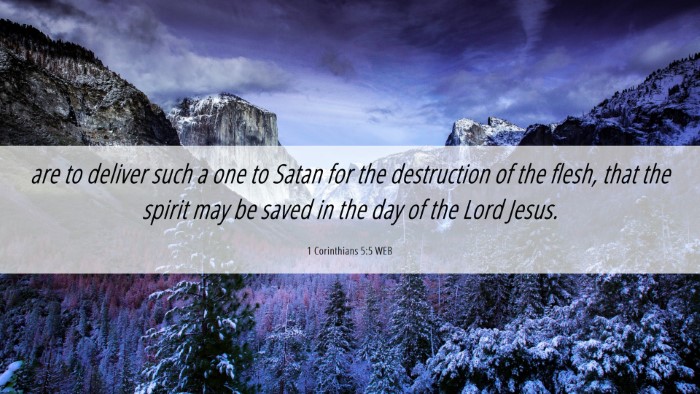 Picture 06 - 1 Corinthians 5:5 WEB Desktop Wallpaper - are to deliver such a one to Satan for the - Desktop Bible Verse Wallpaper