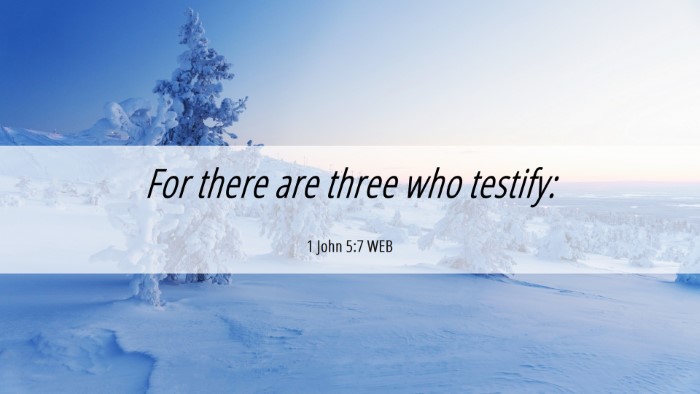 Picture 06 - 1 John 5:7 WEB Desktop Wallpaper - For there are three who - Desktop Bible Verse Wallpaper