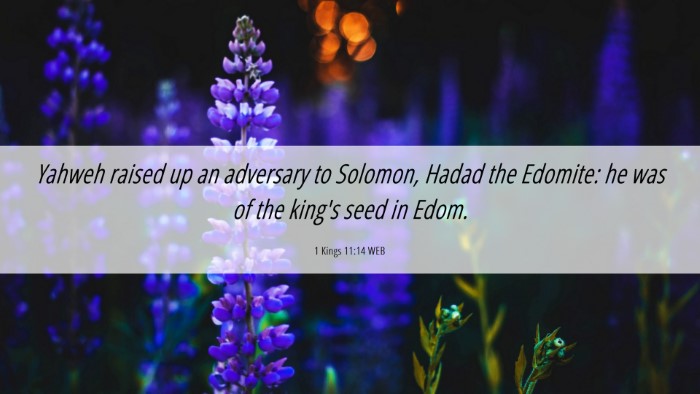Picture 06 - 1 Kings 11:14 WEB Desktop Wallpaper - Yahweh raised up an adversary to Solomon, Hadad - Desktop Bible Verse Wallpaper