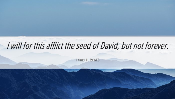 Picture 06 - 1 Kings 11:39 WEB Desktop Wallpaper - I will for this afflict the seed of David, but - Desktop Bible Verse Wallpaper