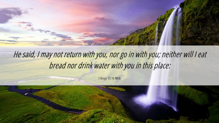 Picture 06 - 1 Kings 13:16 WEB Desktop Wallpaper - He said, I may not return with you, nor go in - Desktop Bible Verse Wallpaper