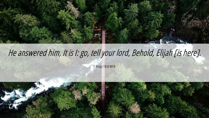 Picture 06 - 1 Kings 18:8 WEB Desktop Wallpaper - He answered him, It is I: go, tell your lord, - Desktop Bible Verse Wallpaper