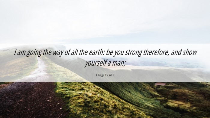 Picture 06 - 1 Kings 2:2 WEB Desktop Wallpaper - I am going the way of all the earth: be you - Desktop Bible Verse Wallpaper