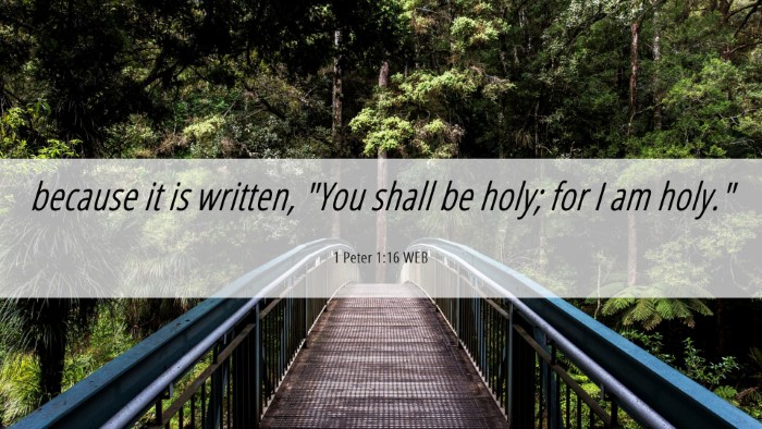 Picture 06 - 1 Peter 1:16 WEB Desktop Wallpaper - because it is written, 