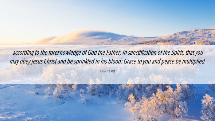 Picture 06 - 1 Peter 1:2 WEB Desktop Wallpaper - according to the foreknowledge of God the Father, - Desktop Bible Verse Wallpaper