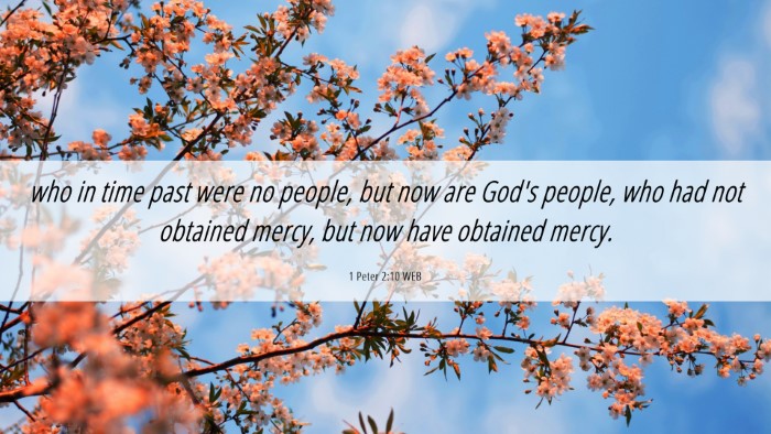 Picture 06 - 1 Peter 2:10 WEB Desktop Wallpaper - who in time past were no people, but now are - Desktop Bible Verse Wallpaper