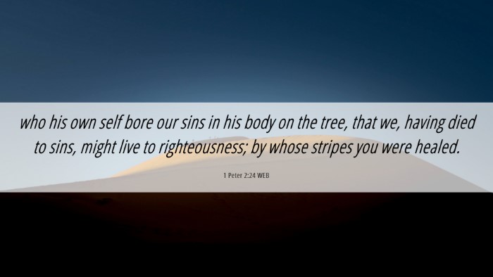 Picture 06 - 1 Peter 2:24 WEB Desktop Wallpaper - who his own self bore our sins in his body on the - Desktop Bible Verse Wallpaper
