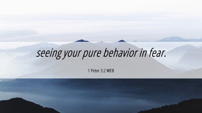 Picture 06 - 1 Peter 3:2 WEB Desktop Wallpaper - seeing your pure behavior in - Desktop Bible Verse Wallpaper
