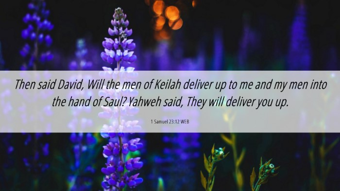 Picture 06 - 1 Samuel 23:12 WEB Desktop Wallpaper - Then said David, Will the men of Keilah deliver - Desktop Bible Verse Wallpaper