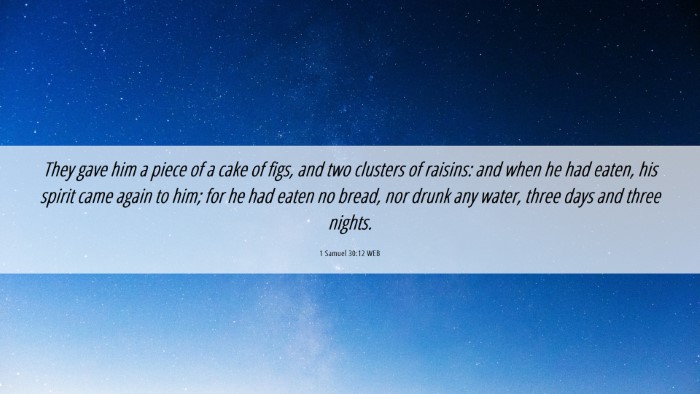 Picture 06 - 1 Samuel 30:12 WEB Desktop Wallpaper - They gave him a piece of a cake of figs, and two - Desktop Bible Verse Wallpaper