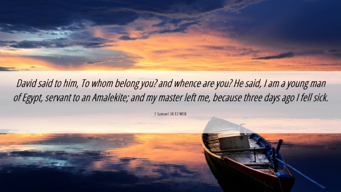 Picture 06 - 1 Samuel 30:13 WEB Desktop Wallpaper - David said to him, To whom belong you? and whence - Desktop Bible Verse Wallpaper
