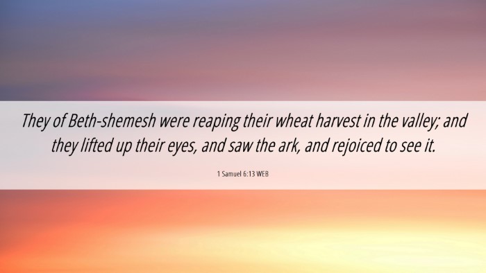 Picture 06 - 1 Samuel 6:13 WEB Desktop Wallpaper - They of Beth-shemesh were reaping their wheat - Desktop Bible Verse Wallpaper