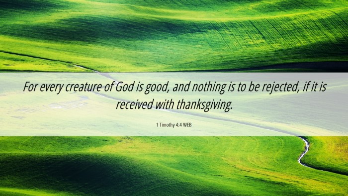 Picture 06 - 1 Timothy 4:4 WEB Desktop Wallpaper - For every creature of God is good, and nothing is - Desktop Bible Verse Wallpaper