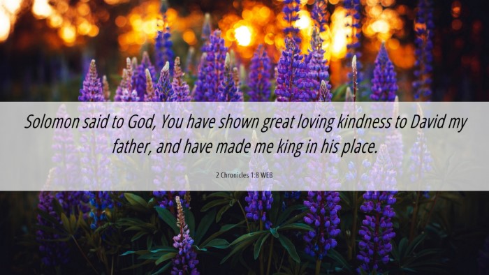 Picture 06 - 2 Chronicles 1:8 WEB Desktop Wallpaper - Solomon said to God, You have shown great loving - Desktop Bible Verse Wallpaper