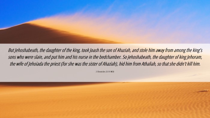 Picture 06 - 2 Chronicles 22:11 WEB Desktop Wallpaper - But Jehoshabeath, the daughter of the king, took - Desktop Bible Verse Wallpaper