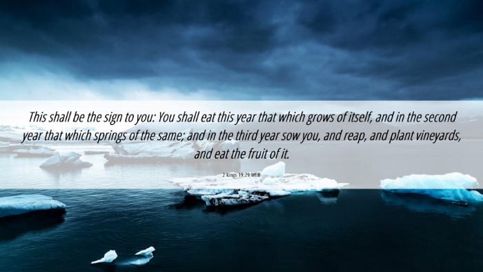 Picture 06 - 2 Kings 19:29 WEB Desktop Wallpaper - This shall be the sign to you: You shall eat this - Desktop Bible Verse Wallpaper