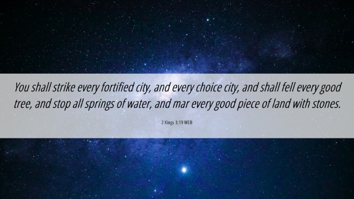 Picture 06 - 2 Kings 3:19 WEB Desktop Wallpaper - You shall strike every fortified city, and every - Desktop Bible Verse Wallpaper