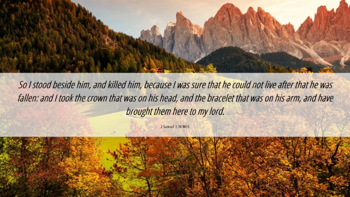 Picture 06 - 2 Samuel 1:10 WEB Desktop Wallpaper - So I stood beside him, and killed him, because I - Desktop Bible Verse Wallpaper