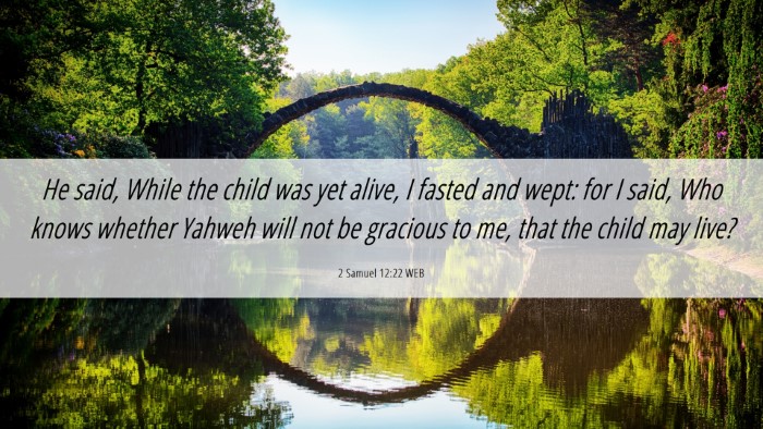 Picture 06 - 2 Samuel 12:22 WEB Desktop Wallpaper - He said, While the child was yet alive, I fasted - Desktop Bible Verse Wallpaper
