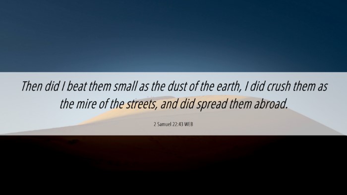 Picture 06 - 2 Samuel 22:43 WEB Desktop Wallpaper - Then did I beat them small as the dust of the - Desktop Bible Verse Wallpaper