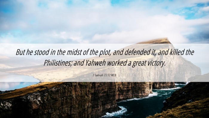 Picture 06 - 2 Samuel 23:12 WEB Desktop Wallpaper - But he stood in the midst of the plot, and - Desktop Bible Verse Wallpaper
