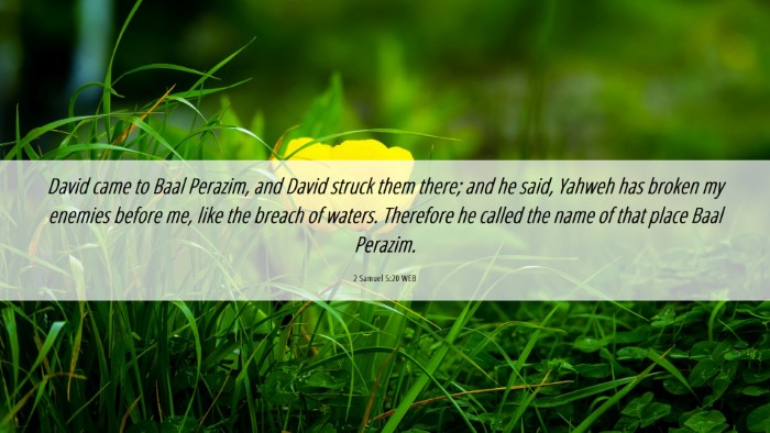 Picture 06 - 2 Samuel 5:20 WEB Desktop Wallpaper - David came to Baal Perazim, and David struck them - Desktop Bible Verse Wallpaper