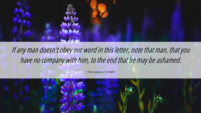 Picture 06 - 2 Thessalonians 3:14 WEB Desktop Wallpaper - If any man doesn't obey our word in this letter, - Desktop Bible Verse Wallpaper