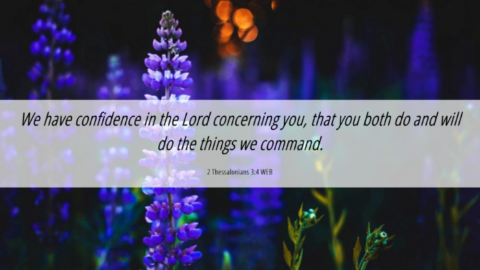 Picture 06 - 2 Thessalonians 3:4 WEB Desktop Wallpaper - We have confidence in the Lord concerning you, - Desktop Bible Verse Wallpaper