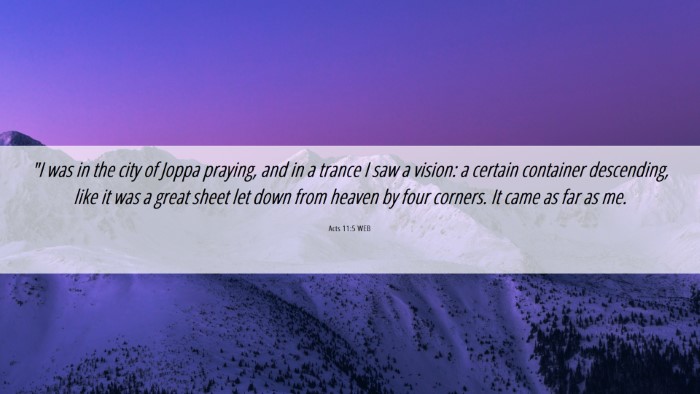 Picture 06 - Acts 11:5 WEB Desktop Wallpaper - 