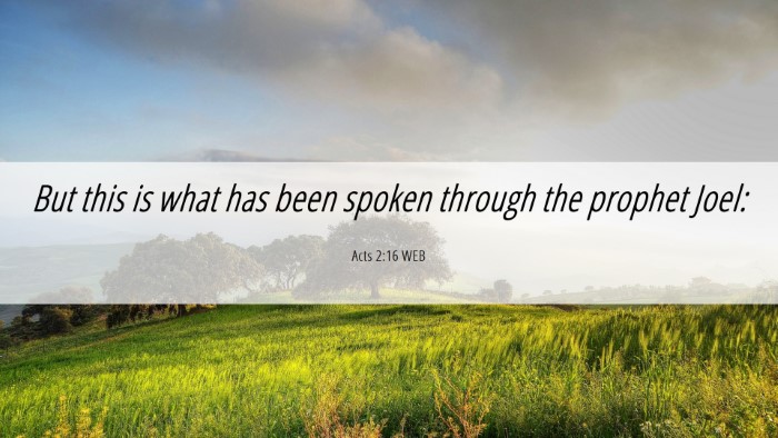 Picture 06 - Acts 2:16 WEB Desktop Wallpaper - But this is what has been spoken through the - Desktop Bible Verse Wallpaper