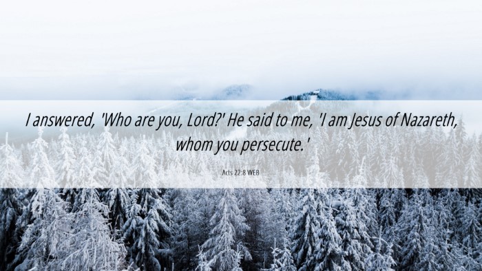 Picture 06 - Acts 22:8 WEB Desktop Wallpaper - I answered, 'Who are you, Lord?' He said to me, - Desktop Bible Verse Wallpaper