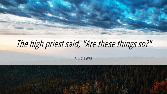 Picture 06 - Acts 7:1 WEB Desktop Wallpaper - The high priest said, 