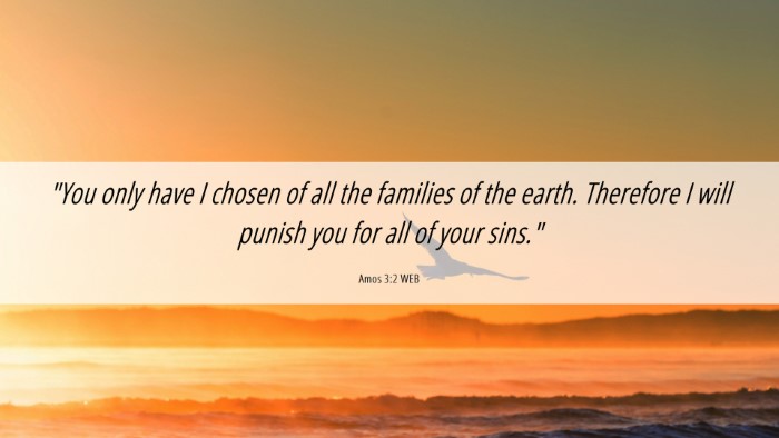 Picture 06 - Amos 3:2 WEB Desktop Wallpaper - 