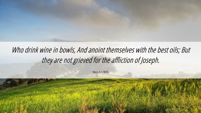 Picture 06 - Amos 6:6 WEB Desktop Wallpaper - Who drink wine in bowls, And anoint themselves - Desktop Bible Verse Wallpaper