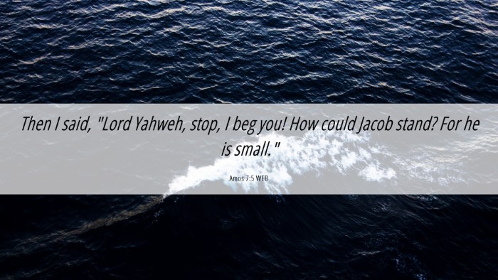 Picture 06 - Amos 7:5 WEB Desktop Wallpaper - Then I said, 