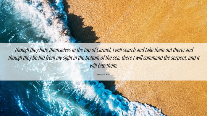 Picture 06 - Amos 9:3 WEB Desktop Wallpaper - Though they hide themselves in the top of Carmel, - Desktop Bible Verse Wallpaper