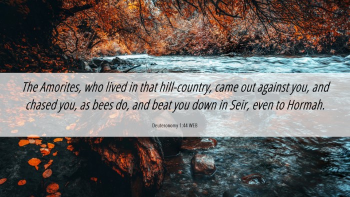 Picture 06 - Deuteronomy 1:44 WEB Desktop Wallpaper - The Amorites, who lived in that hill-country, - Desktop Bible Verse Wallpaper