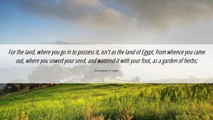 Picture 06 - Deuteronomy 11:10 WEB Desktop Wallpaper - For the land, where you go in to possess it, - Desktop Bible Verse Wallpaper
