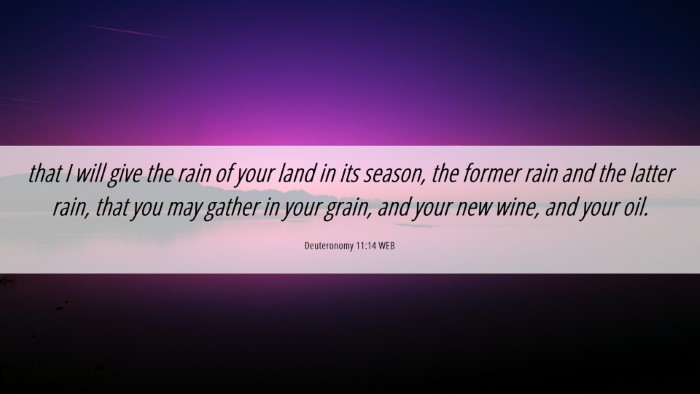 Picture 06 - Deuteronomy 11:14 WEB Desktop Wallpaper - that I will give the rain of your land in its - Desktop Bible Verse Wallpaper