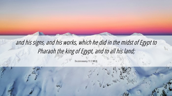 Picture 06 - Deuteronomy 11:3 WEB Desktop Wallpaper - and his signs, and his works, which he did in the - Desktop Bible Verse Wallpaper