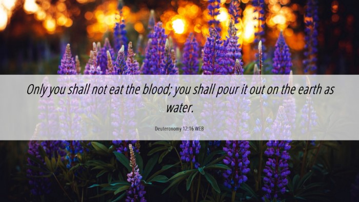 Picture 06 - Deuteronomy 12:16 WEB Desktop Wallpaper - Only you shall not eat the blood; you shall pour - Desktop Bible Verse Wallpaper