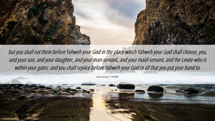 Picture 06 - Deuteronomy 12:18 WEB Desktop Wallpaper - but you shall eat them before Yahweh your God in - Desktop Bible Verse Wallpaper