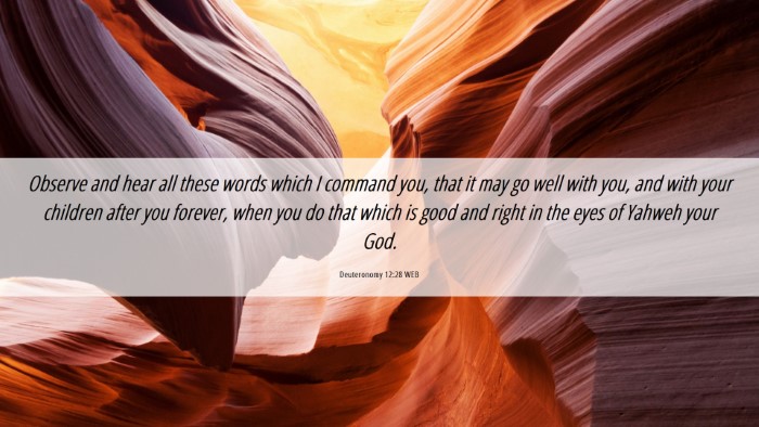 Picture 06 - Deuteronomy 12:28 WEB Desktop Wallpaper - Observe and hear all these words which I command - Desktop Bible Verse Wallpaper