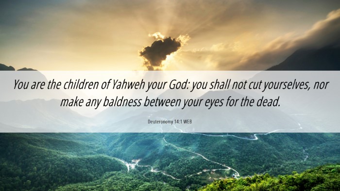 Picture 06 - Deuteronomy 14:1 WEB Desktop Wallpaper - You are the children of Yahweh your God: you - Desktop Bible Verse Wallpaper