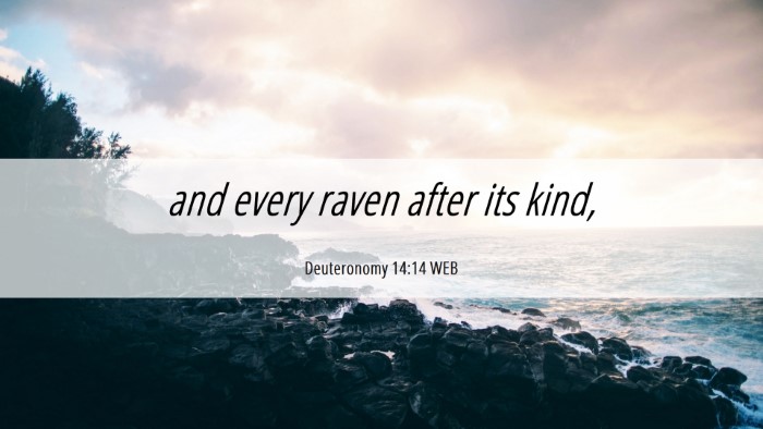 Picture 06 - Deuteronomy 14:14 WEB Desktop Wallpaper - and every raven after its - Desktop Bible Verse Wallpaper