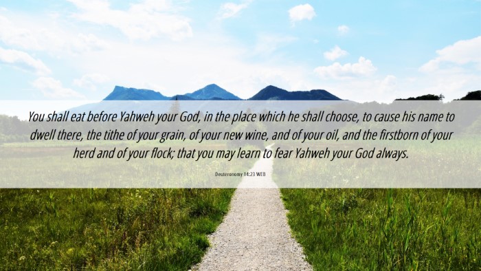 Picture 06 - Deuteronomy 14:23 WEB Desktop Wallpaper - You shall eat before Yahweh your God, in the - Desktop Bible Verse Wallpaper