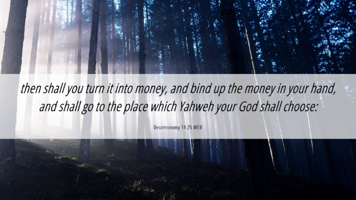 Picture 06 - Deuteronomy 14:25 WEB Desktop Wallpaper - then shall you turn it into money, and bind up - Desktop Bible Verse Wallpaper