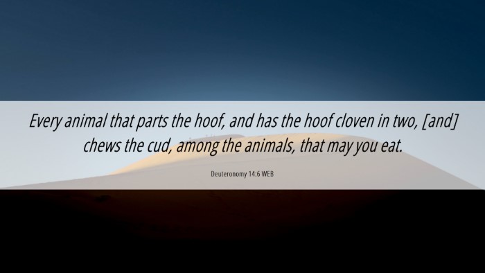 Picture 06 - Deuteronomy 14:6 WEB Desktop Wallpaper - Every animal that parts the hoof, and has the - Desktop Bible Verse Wallpaper